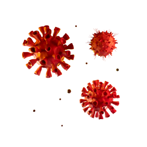 Sanificazione
